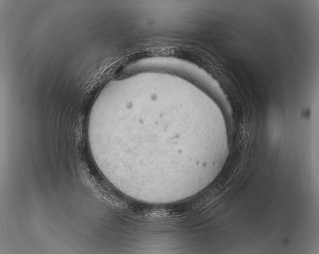 X0000116150600200912141159