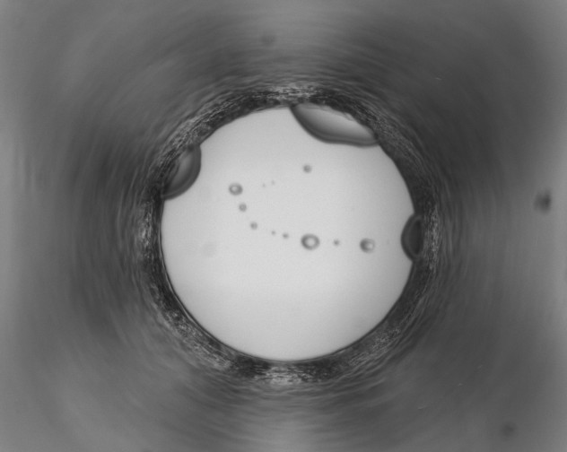 X0000116150608200912141159