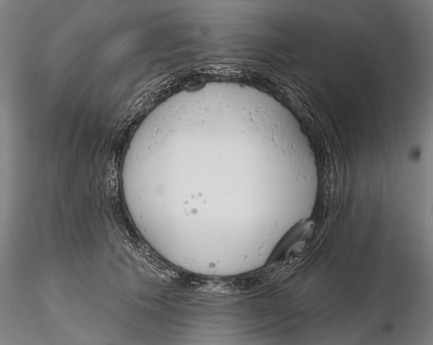 X0000116150609200912141159