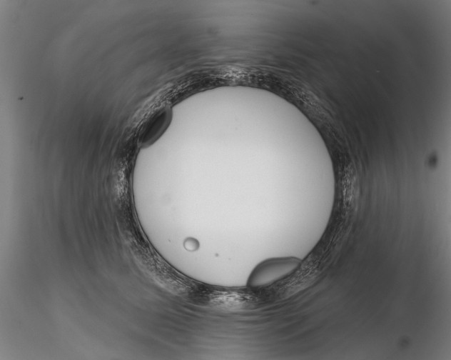 X0000116150611200912141159