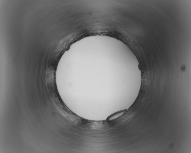 X0000116150623200912141158