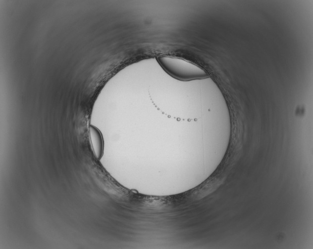 X0000116150624200912141158