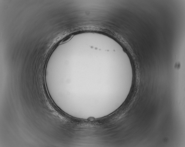 X0000116150625200912141158