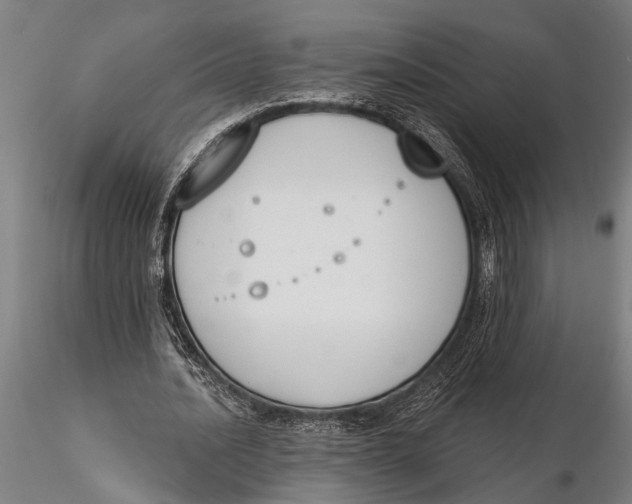 X0000116150628200912141158