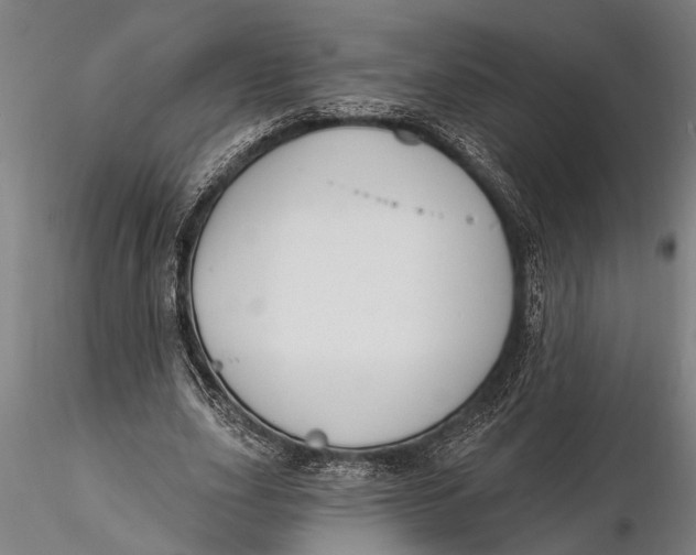 X0000116150631200912141158