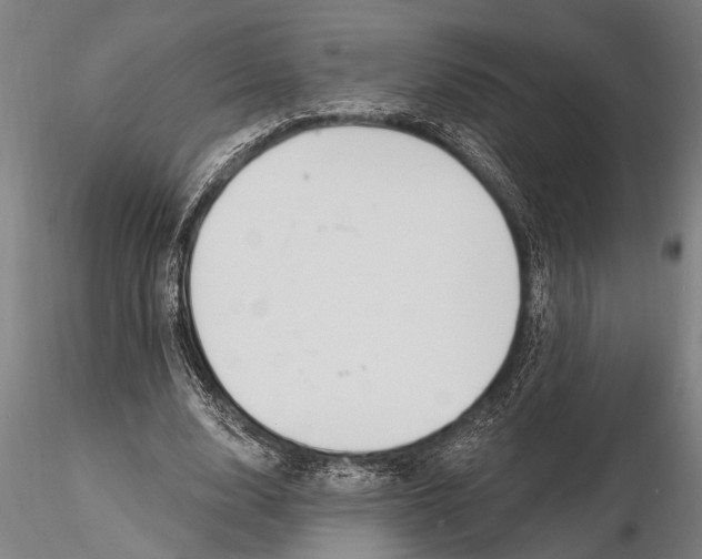 X0000116150632200912141158