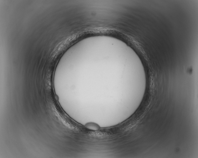 X0000116150633200912141158