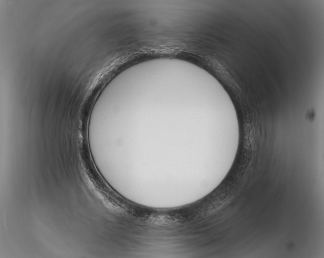 X0000116150634200912141158