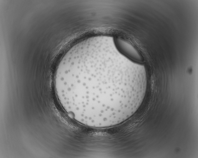 X0000116150637200912141158