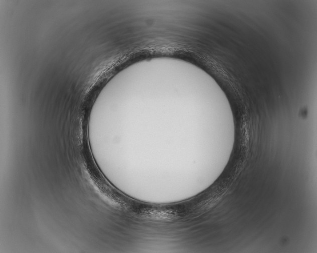 X0000116150638200912141158