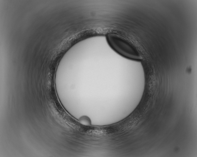 X0000116150639200912141158