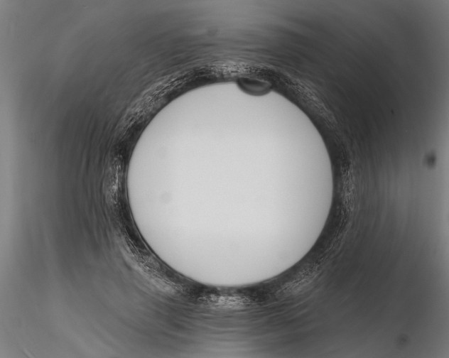 X0000116150645200912141158