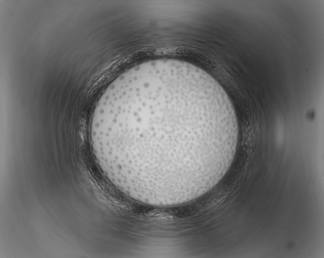 X0000116150648200912141158