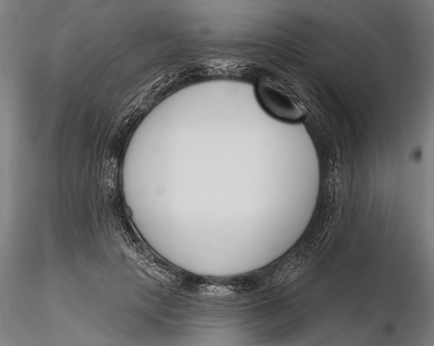 X0000116150649200912141158