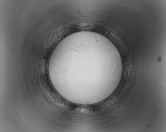 X0000116150655200912141158