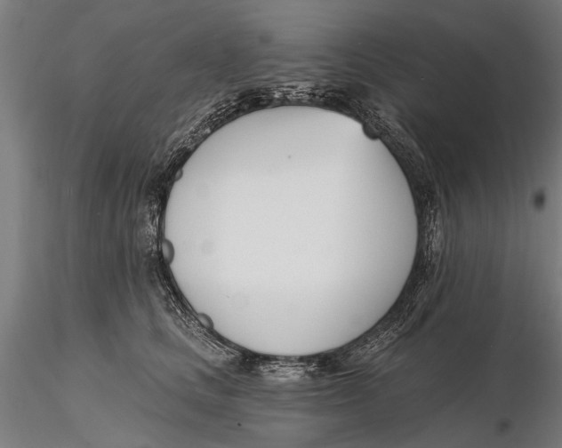 X0000116150661200912141158