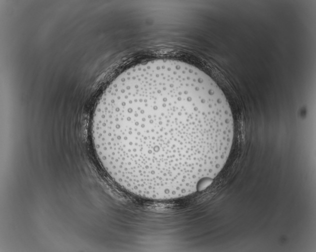 X0000116150664200912141158