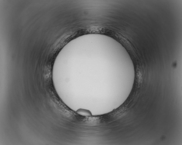 X0000116150665200912141158