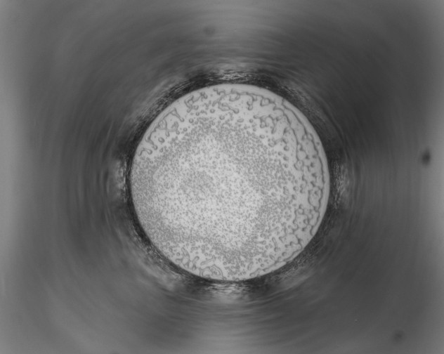 X0000116150667200912141158