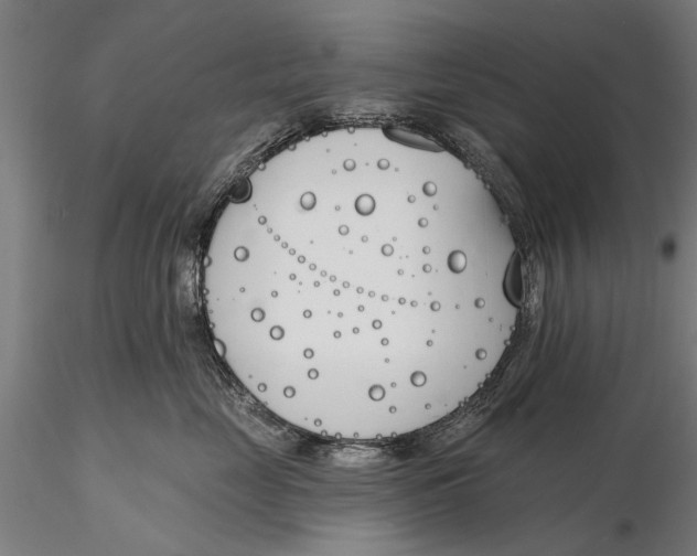 X0000116150669200912141158