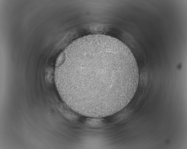 X0000116150671200912141158