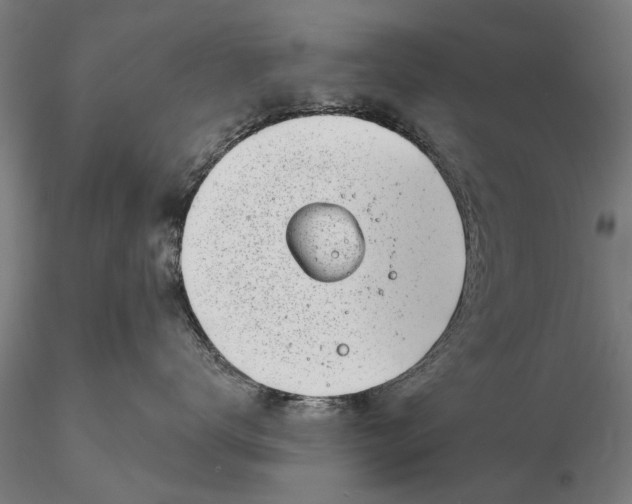 X0000116150672200912141158