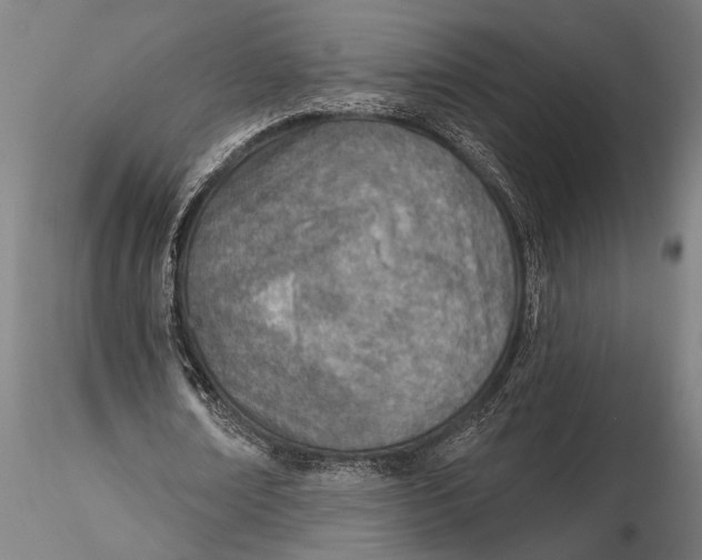 X0000116150674200912141158