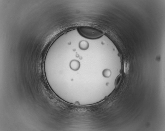 X0000116150675200912141158