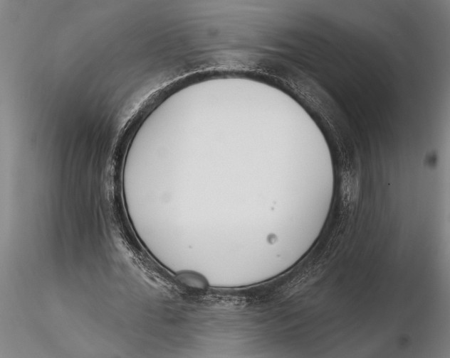 X0000116150676200912141158