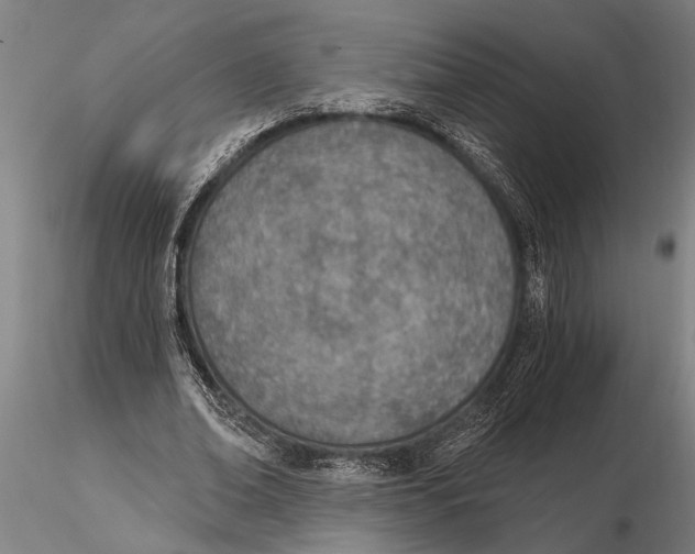 X0000116150678200912141158