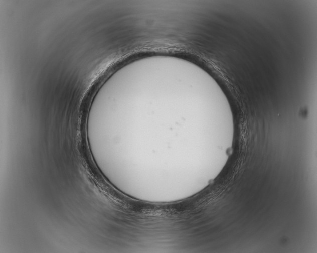 X0000116150679200912141158