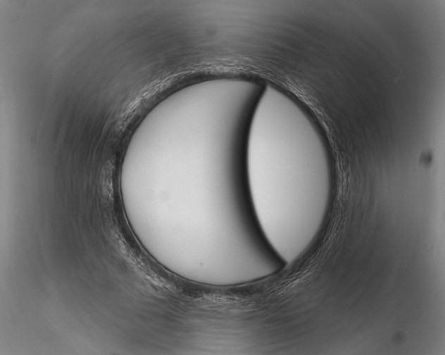 X0000116150681200912141158