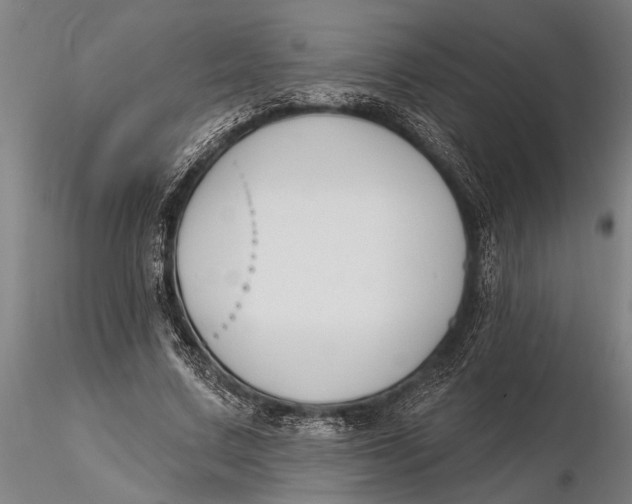 X0000116150683200912141158