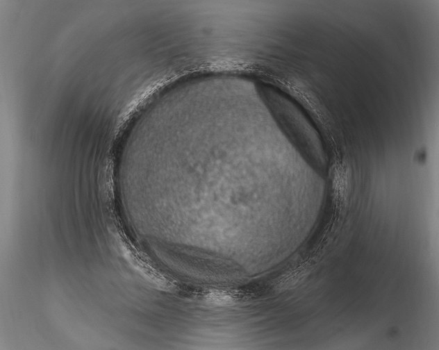 X0000116150684200912141157