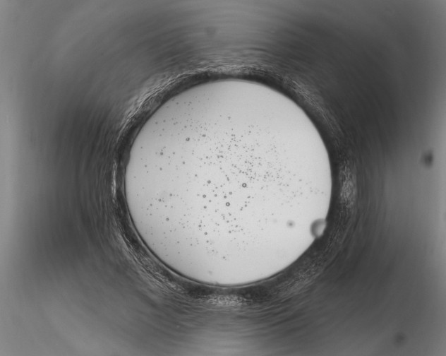 X0000116150685200912141157