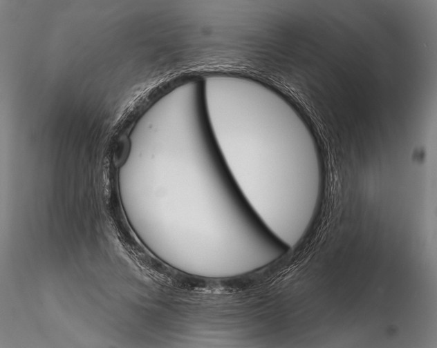 X0000116150688200912141157