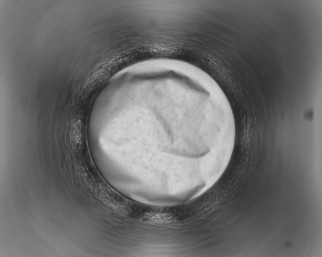 X0000116150689200912141157