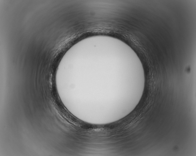 X0000116150692200912141157