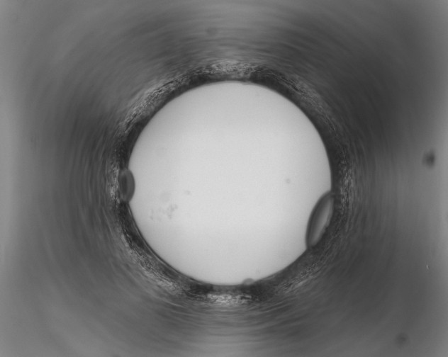 X0000116150693200912141157