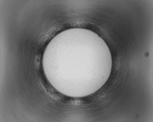 X0000116150695200912141157