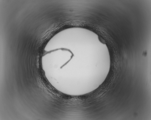 X0000116150696200912141157