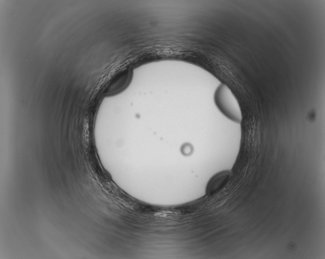 X0000116150700200912141157