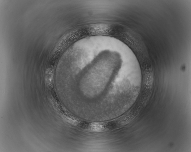 X0000116150701200912141157