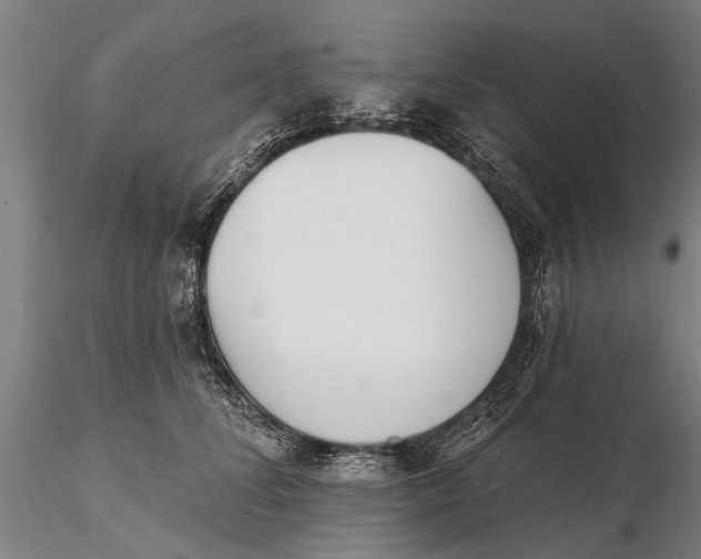 X0000116150708200912141157