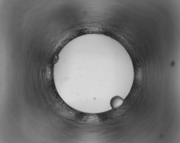 X0000116150715200912141157