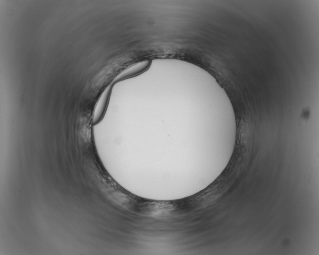 X0000116150719200912141157