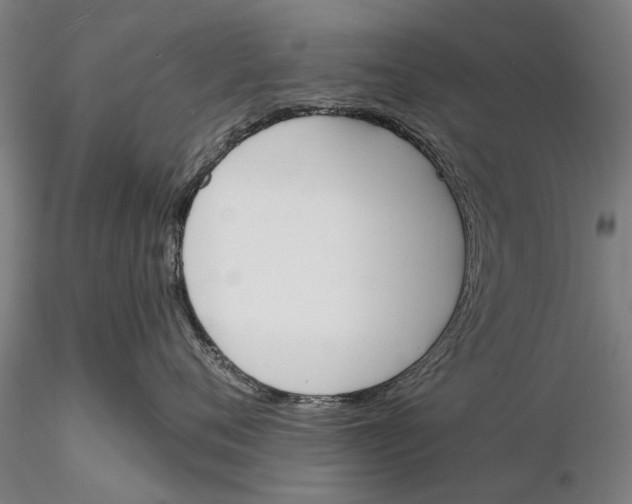 X0000116150720200912141157