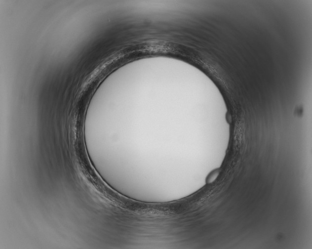 X0000116150722200912141156