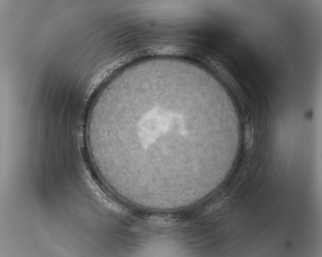 X0000116150725200912141156