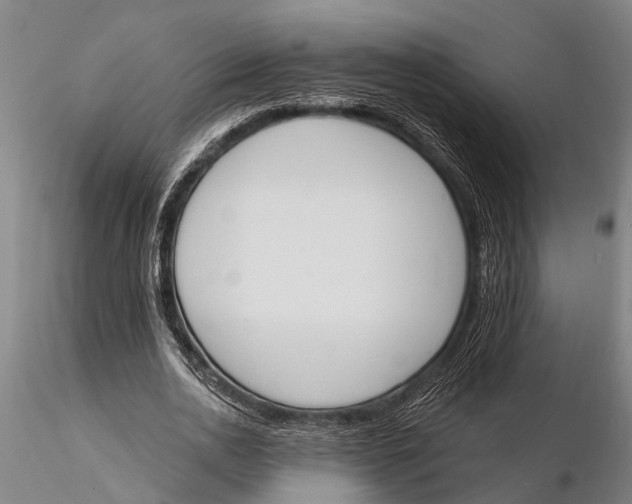 X0000116150726200912141156